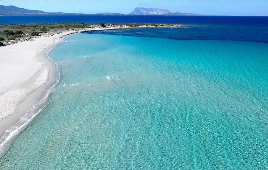 Vila Trilocale Dory A San Teodoro San Teodoro  0*, San Teodoro (Sardinia)